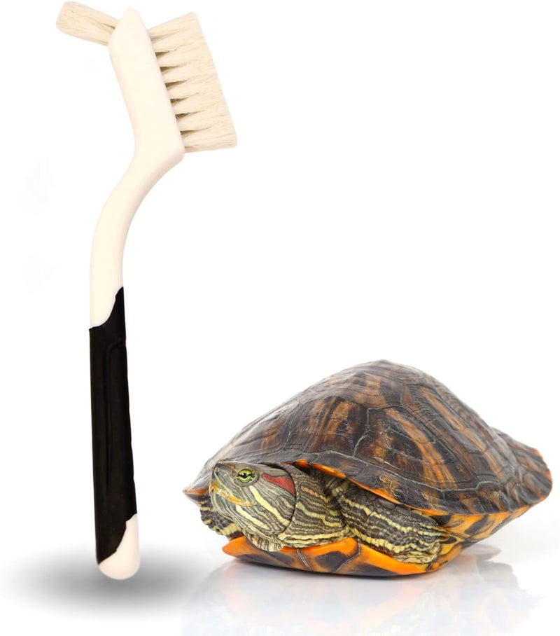 Snout and Shell Turtle Cleaning Brush Remove Aquatic Mud, Dirt, & Contaminants from Tortoises Shells & Promoting Shell Health - Goat Hair Bristle Brush with Grip Rubber Handle - White by - Image 1